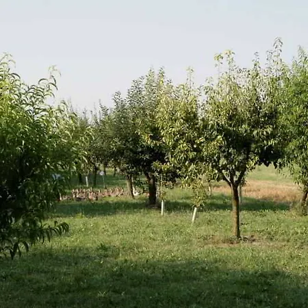 Relais Agrituristico Ormesani San Liberale