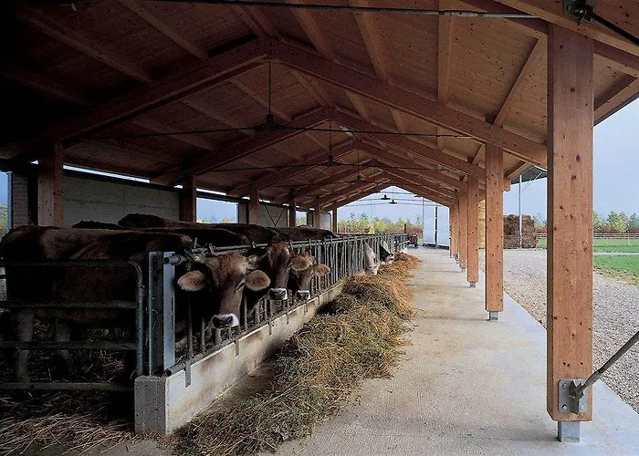 Relais Agrituristico Ormesani San Liberale