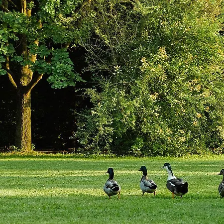 Relais Agrituristico Ormesani *