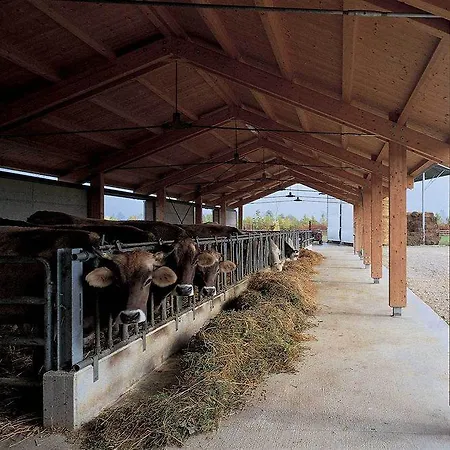 Relais Agrituristico Ormesani Σαν Λιμπεράλε