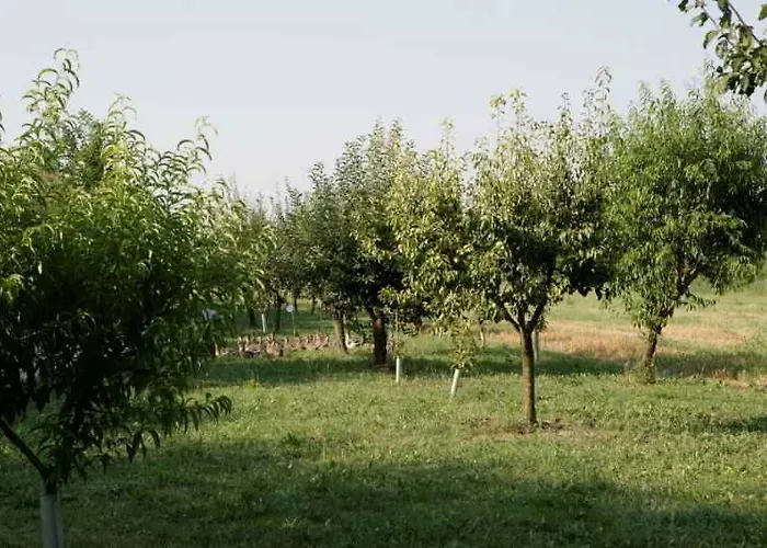 Relais Agrituristico Ormesani San Liberale