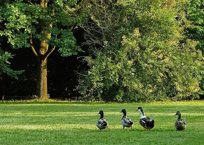 Relais Agrituristico Ormesani *